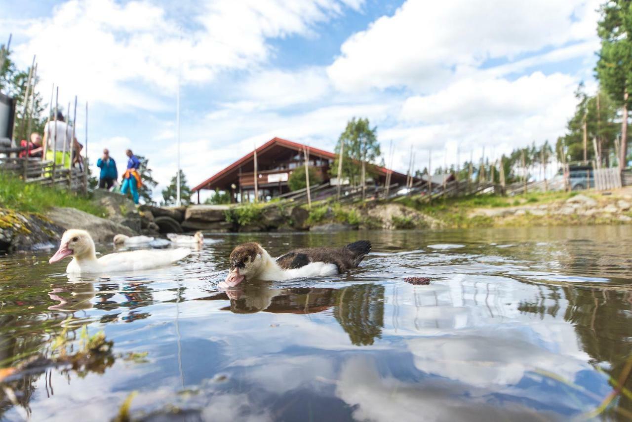 Dombas Hostel Zewnętrze zdjęcie